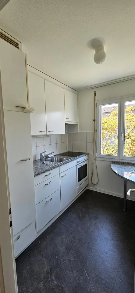 3 Zimmerwohnung in ruhigem Quartier zu vermieten