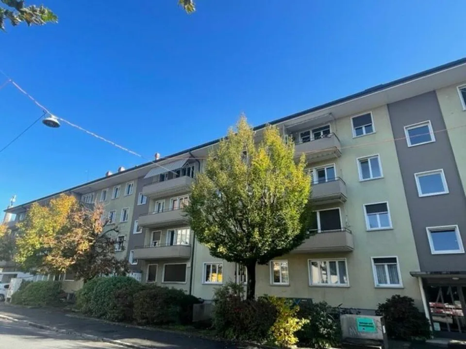 4.5 Zi-Wohnung im Länggass-Quartier