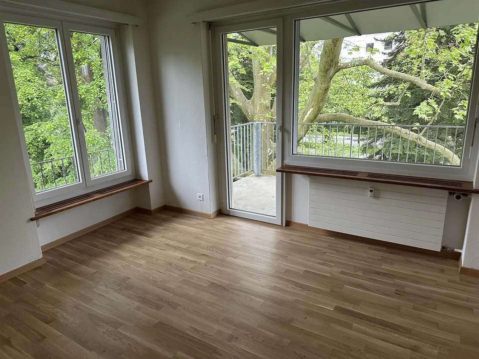 Sonnige 3 Zimmerwohnung inmitten eines Parkes (HP)