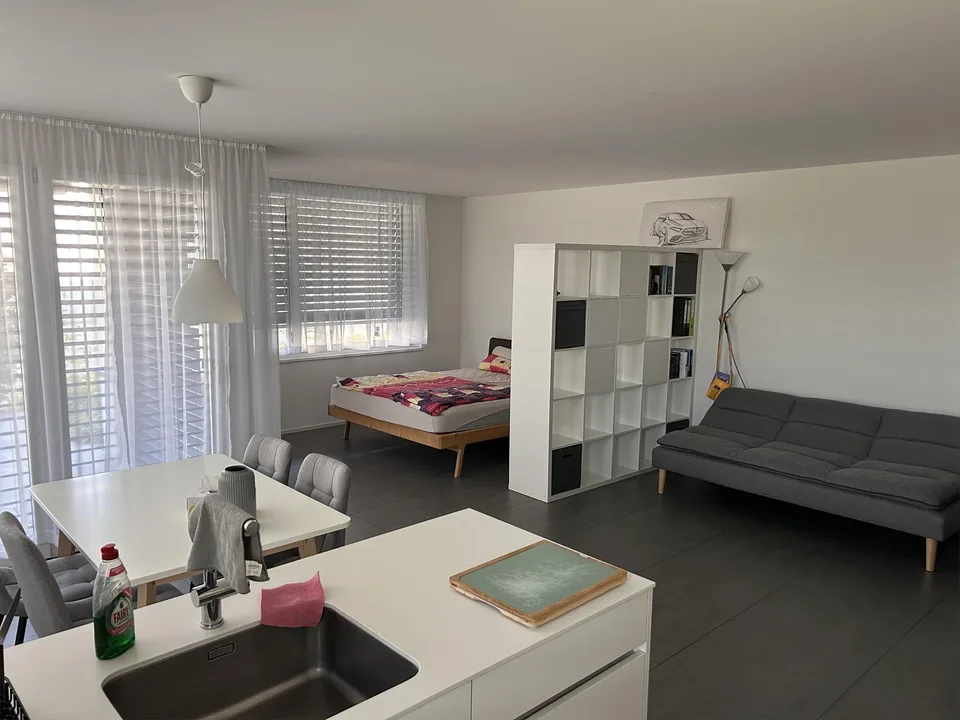 Moderne 1½ - Zimmerwohnung in Freienbach