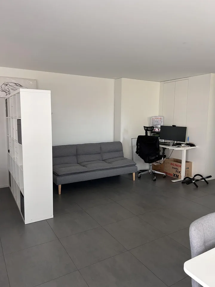 Moderne 1½ - Zimmerwohnung in Freienbach