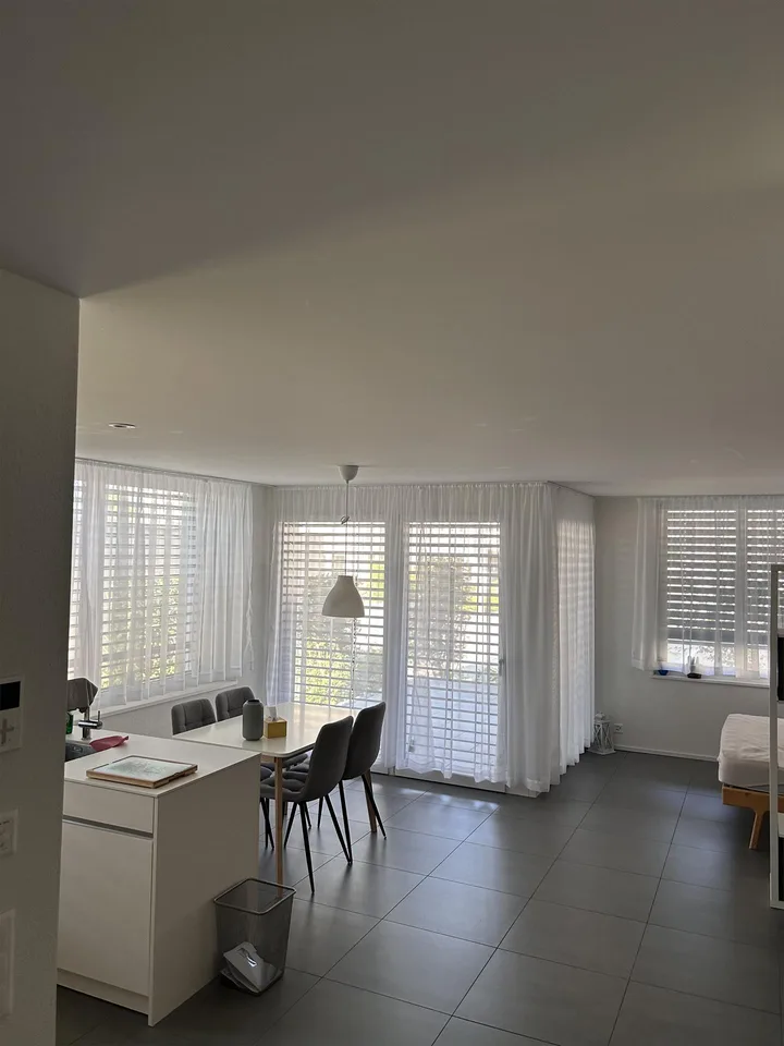 Moderne 1½ - Zimmerwohnung in Freienbach