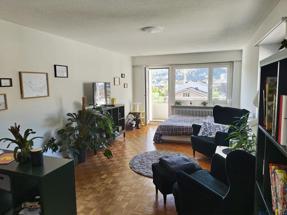 1.5 Zimmer Wohnung in Bahnhofsnähe Olten - Nachmieter gesucht