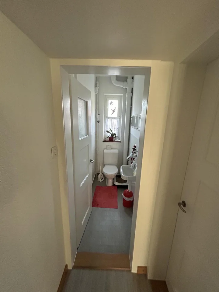 4 Zi-Altbauwng mit kleinem Balkon und grossem Gemeinschaftsgarten