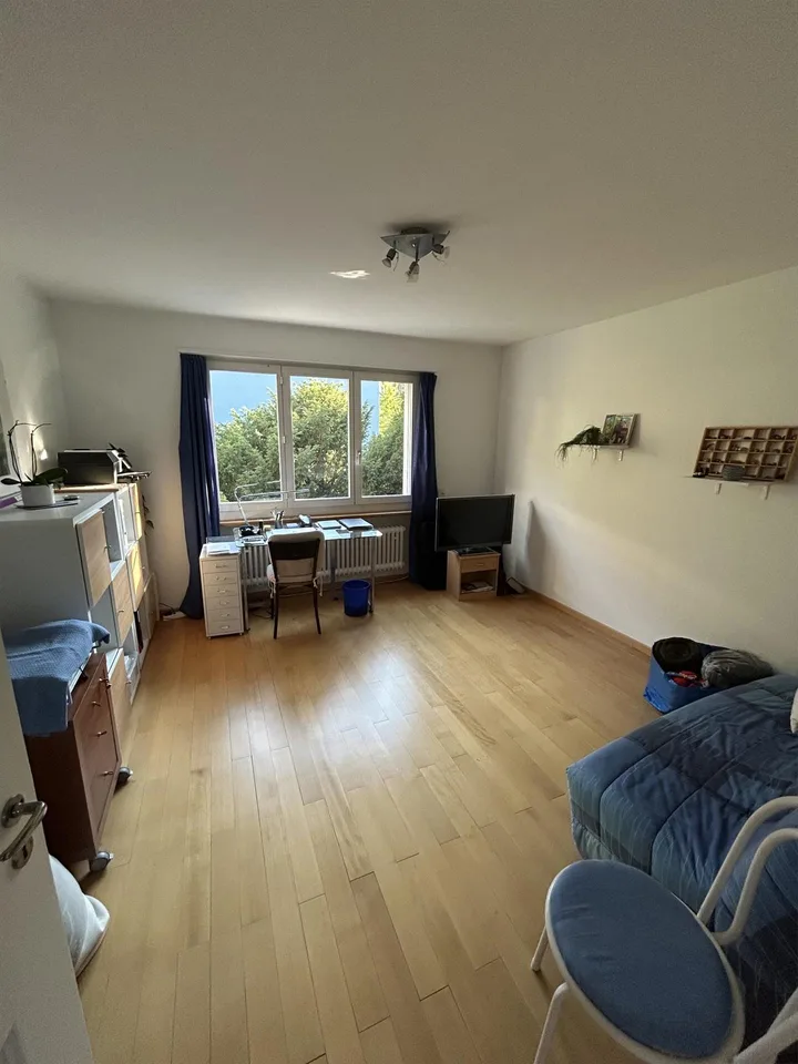 4 Zi-Altbauwng mit kleinem Balkon und grossem Gemeinschaftsgarten