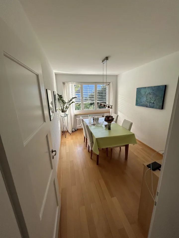 4 Zi-Altbauwng mit kleinem Balkon und grossem Gemeinschaftsgarten