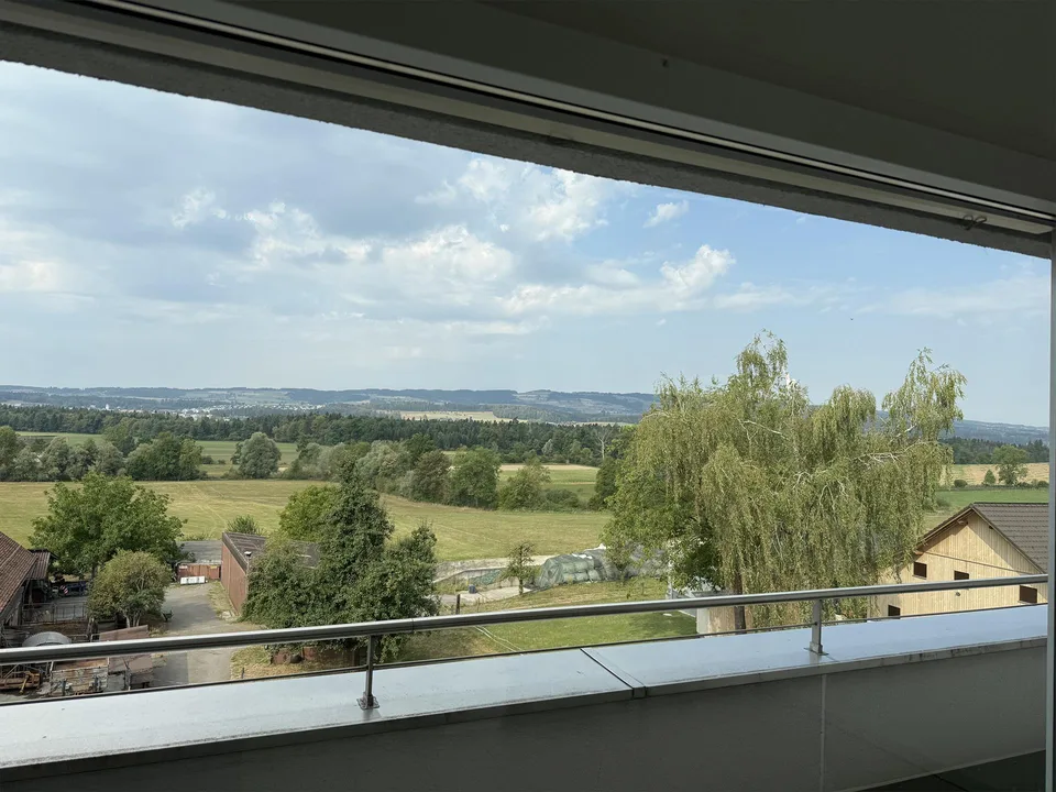 Sonnige 4 1/2 Zimmer Attika Wohnung mit Panorama-Aussicht