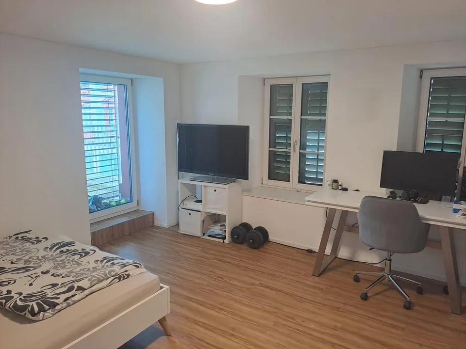 moderne 4.5-Zimmer-Wohnung an zentraler Lage