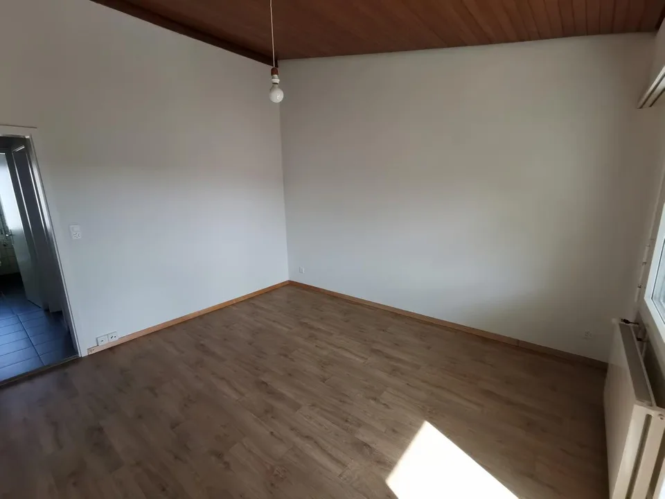 4.5-Zimmer Reihenhaus in Altishofen