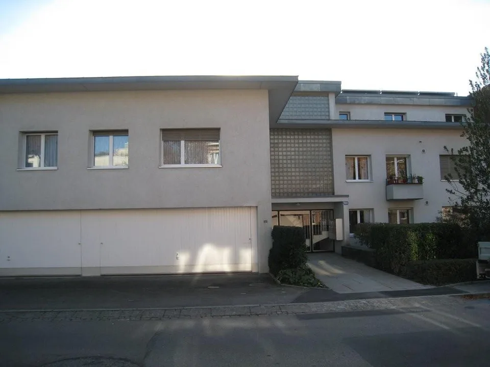 Sonnige und neu gestrichene Wohnung in Zürich Kreis 10