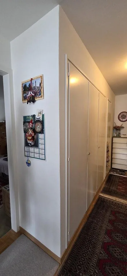 Sonnige und neu gestrichene Wohnung in Zürich Kreis 10