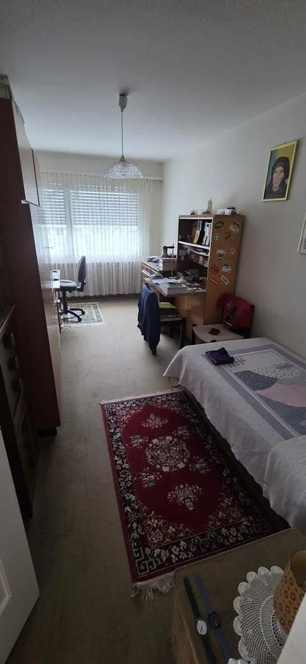 Sonnige und neu gestrichene Wohnung in Zürich Kreis 10