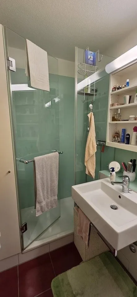Sonnige und neu gestrichene Wohnung in Zürich Kreis 10