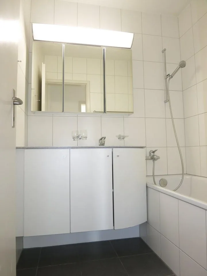 Hier wartet Ihr neues Zuhause