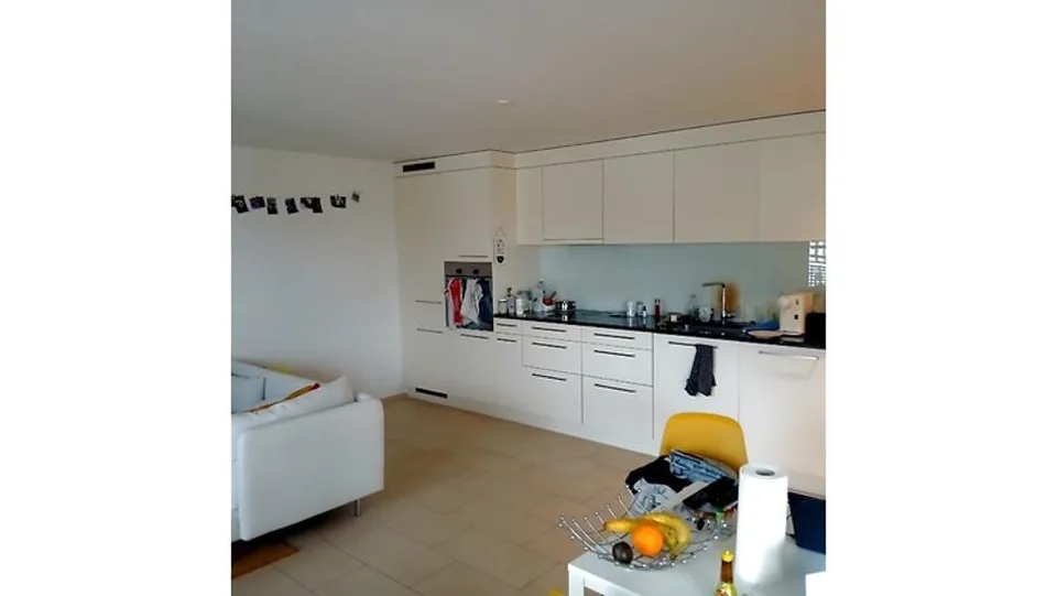 2½ ZI-WOHNUNG IN SCHÜBELBACH (ZH), MÖBLIERT, TEMPORÄR