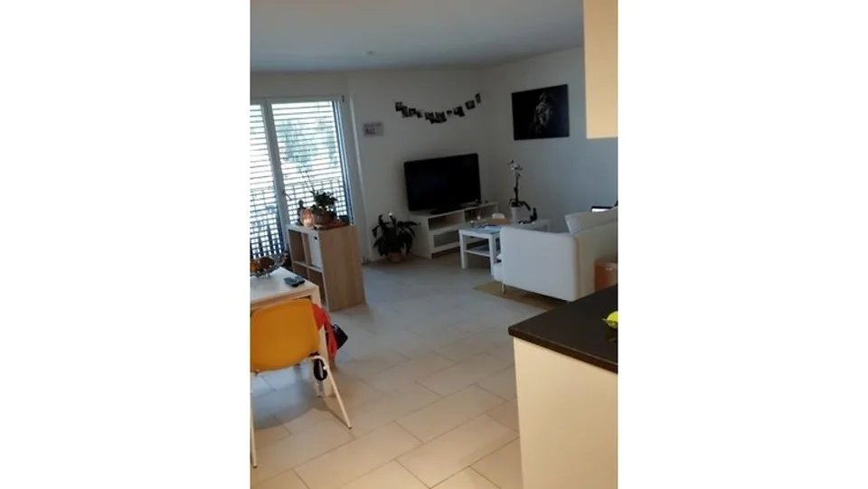 2½ ZI-WOHNUNG IN SCHÜBELBACH (ZH), MÖBLIERT, TEMPORÄR