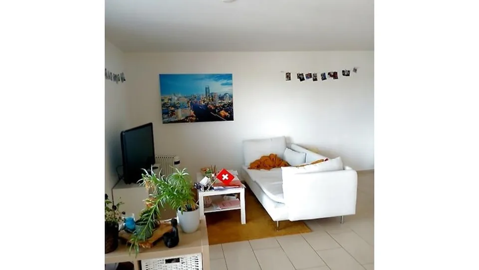 2½ ZI-WOHNUNG IN SCHÜBELBACH (ZH), MÖBLIERT, TEMPORÄR