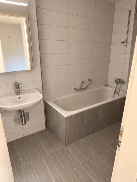 Charmante 3-Zimmer-Wohnung mit Balkon & Gartenmitbenutzung  Reinach BL