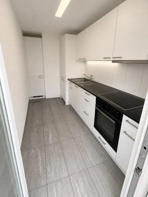 Charmante 3-Zimmer-Wohnung mit Balkon & Gartenmitbenutzung  Reinach BL