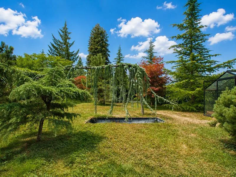 UNIKAT MIT SONNIGEM GARTEN!