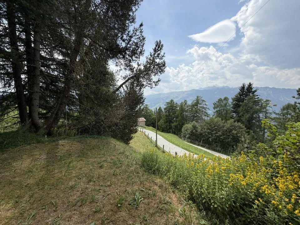 Ferienhaus mit Charme, Ruhe und Weitblick im Domleschg