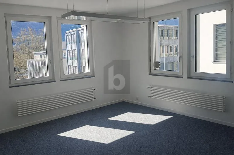 LUMINEUX, PRATIQUE ET CENTRAL