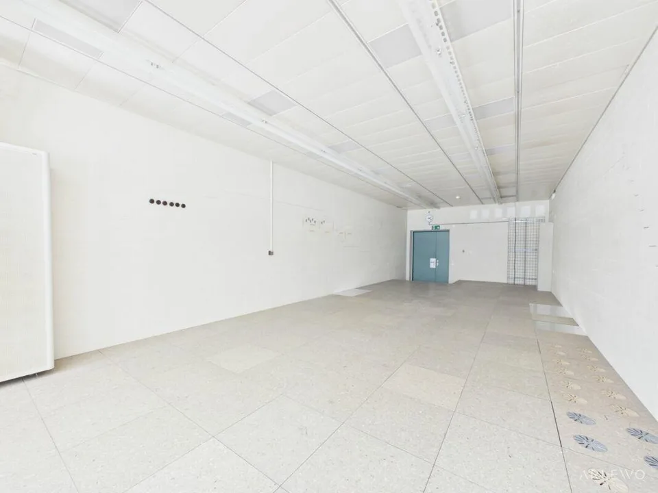 Zwischennutzung im Tribschenquartier