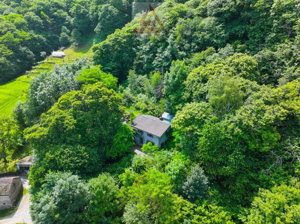 Haus mitten im Grünen / Casa immersa nel verde