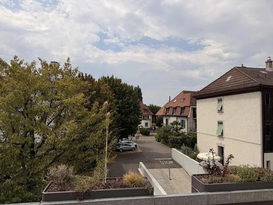 Schöne, sonnige Erdgeschosswohnung in Birsfelden