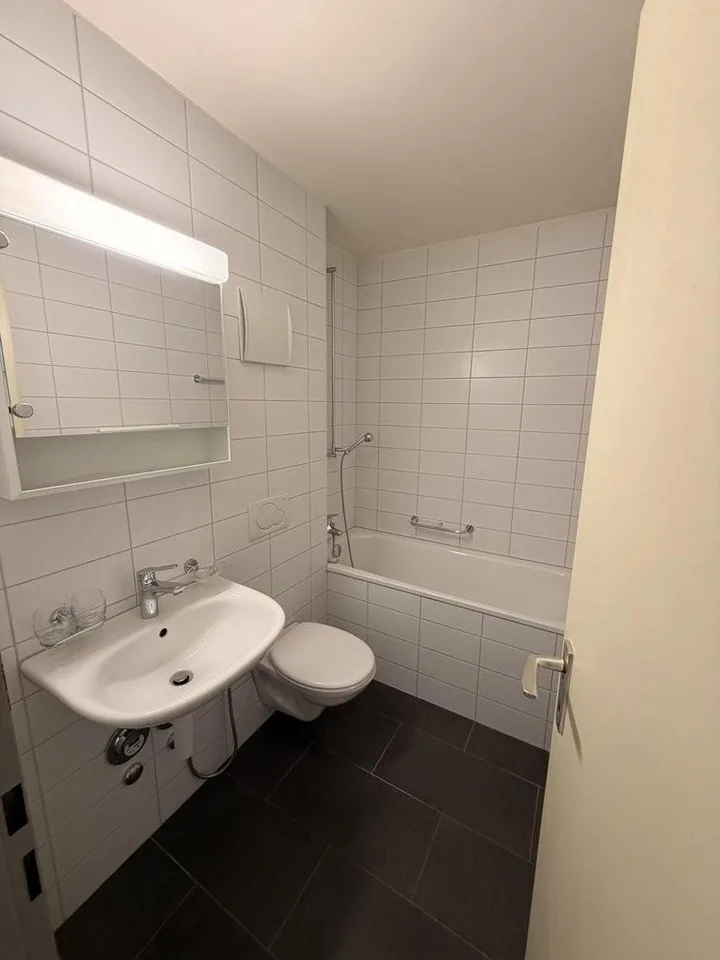 Schöne, sonnige Erdgeschosswohnung in Birsfelden