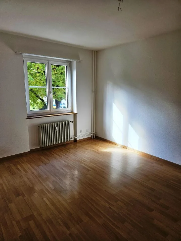 Ruhige helle 2 1/2 Zimmerwohnung gegenüber Park