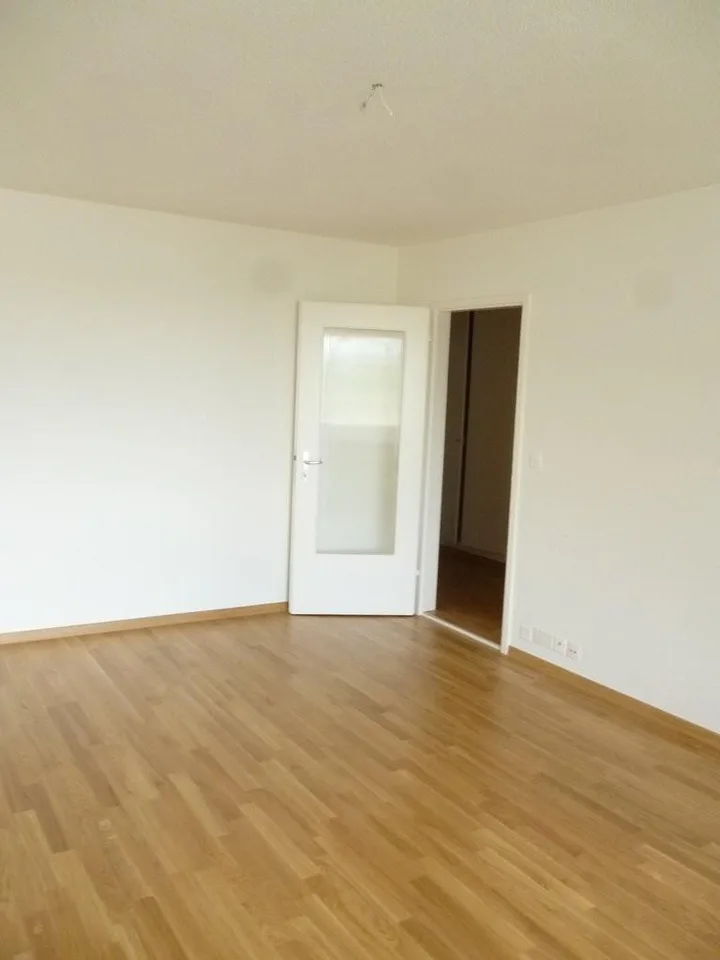 Über den Dächern von Wettingen