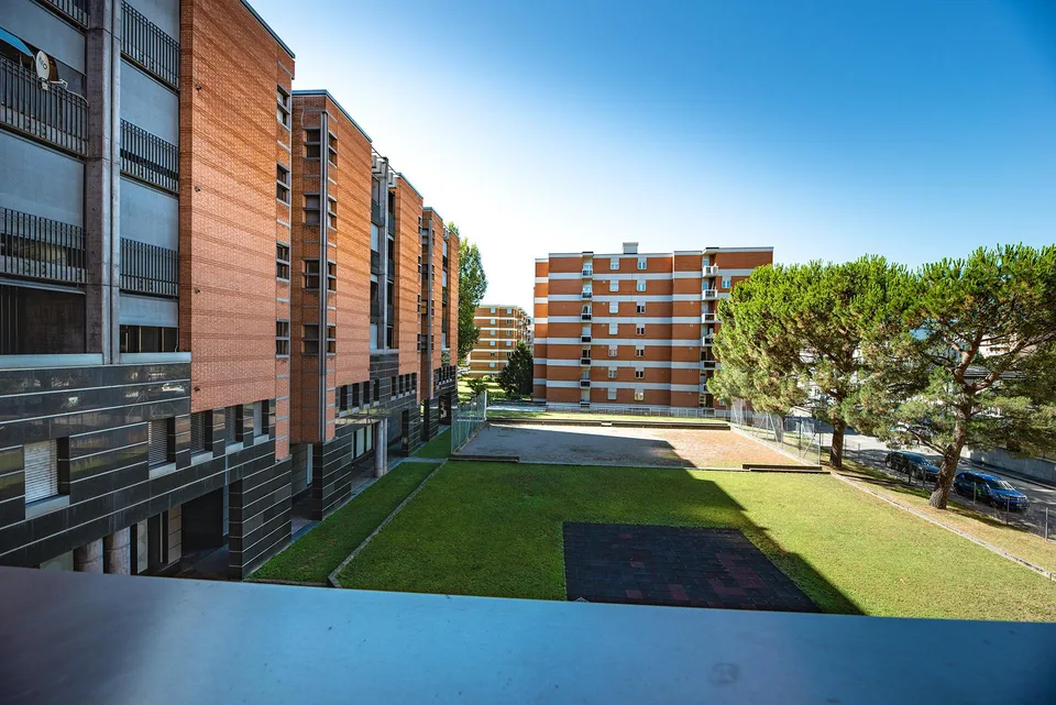 Ideale per studenti e giovani copie