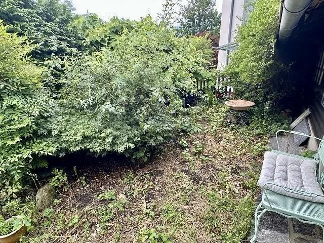2 1/2-Zimmer-Einfamilienhaus mit Gästebungalow an sehr ruhiger Lage...