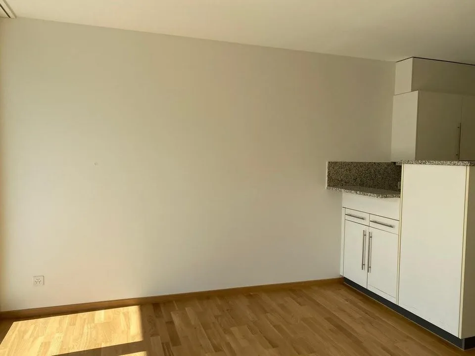 Grosszügige 3.5-Zimmerwohnung mit moderner Küche