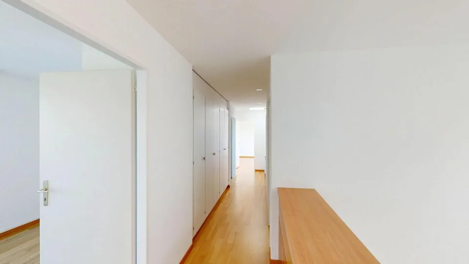 4.5 Zimmer Attikawohnung mit grosser Terrasse – photo 3 sur 26