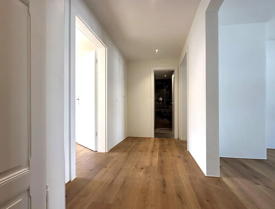 3.5 Zimmerwohnung in Luzern