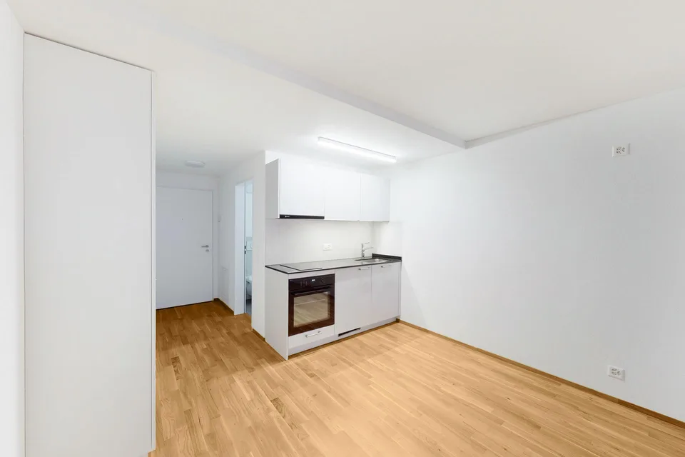 Attraktive Singlewohnung mitten in der Stadt Luzern