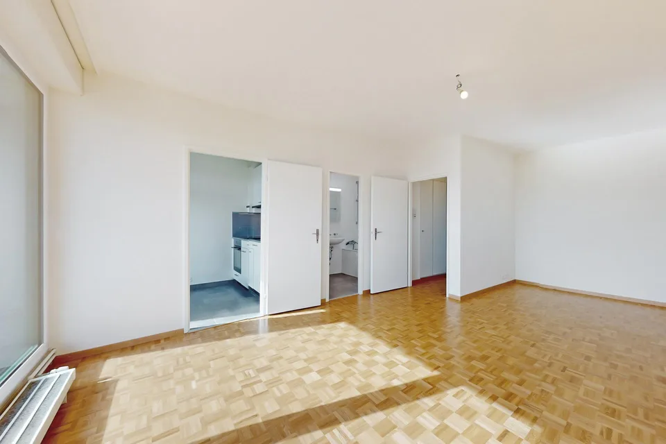Belle appartement de 2 pièces proche de la Gare Cornavin