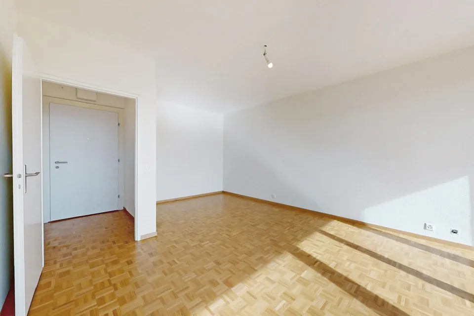 Belle appartement de 2 pièces proche de la Gare Cornavin