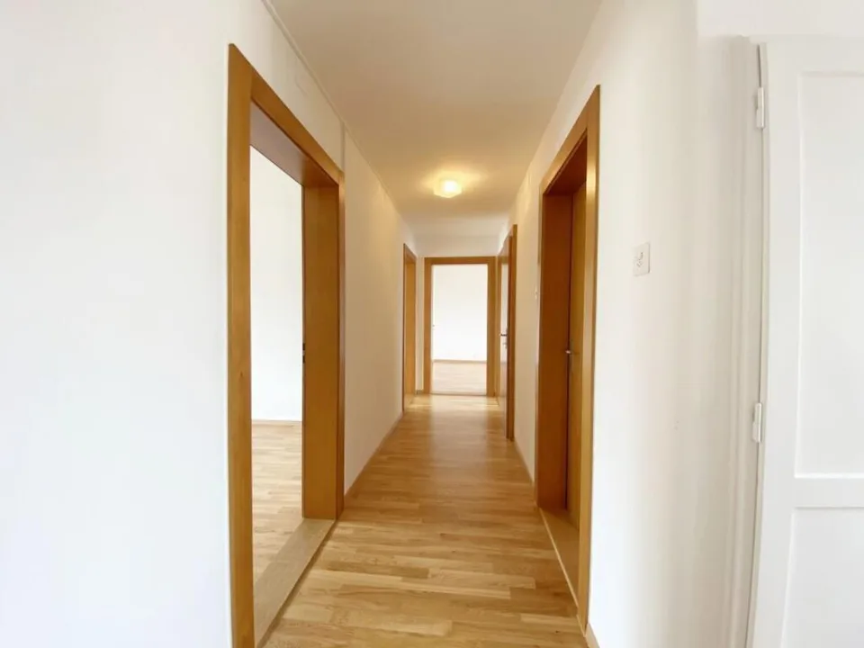 Zentrale und helle Wohnung im Tribschenquartier