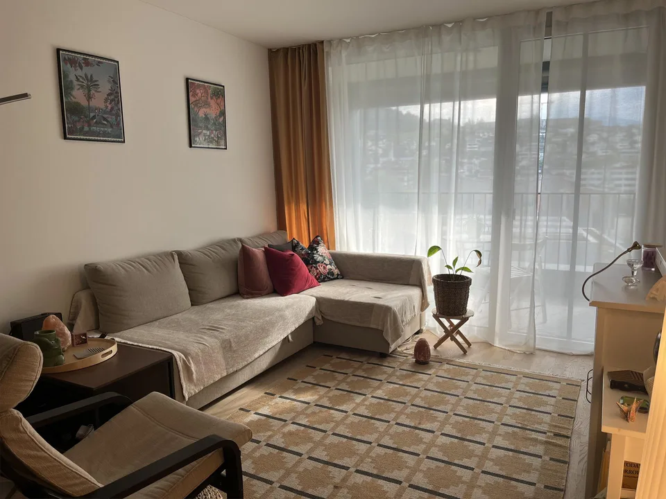 2.5 Zimmer Wohnung im Herzen von Horw
