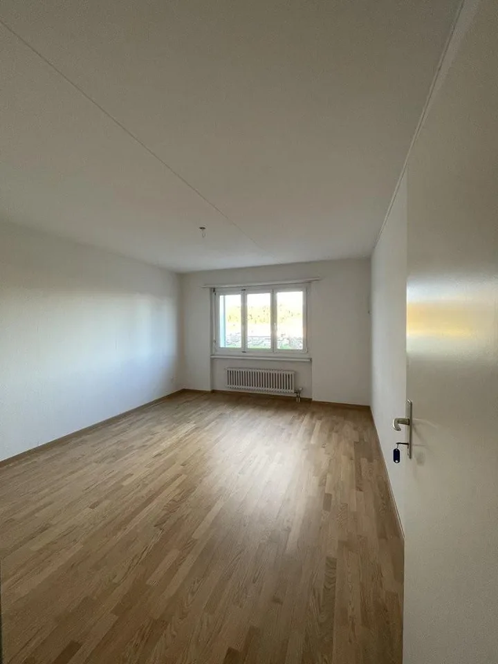 4.5 Zimmer-Wohnung mit Aussicht in Spreitenbach zu mieten