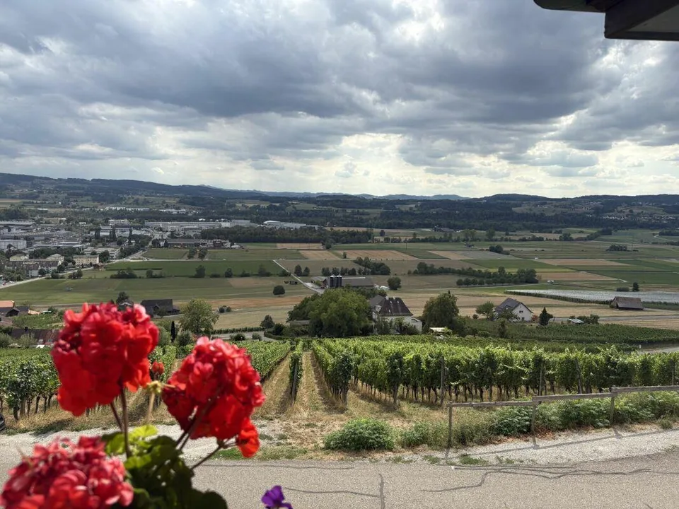 Wohnen mit Weitblick - charmante 2-Zimmer-Wohnung am Ottoberg