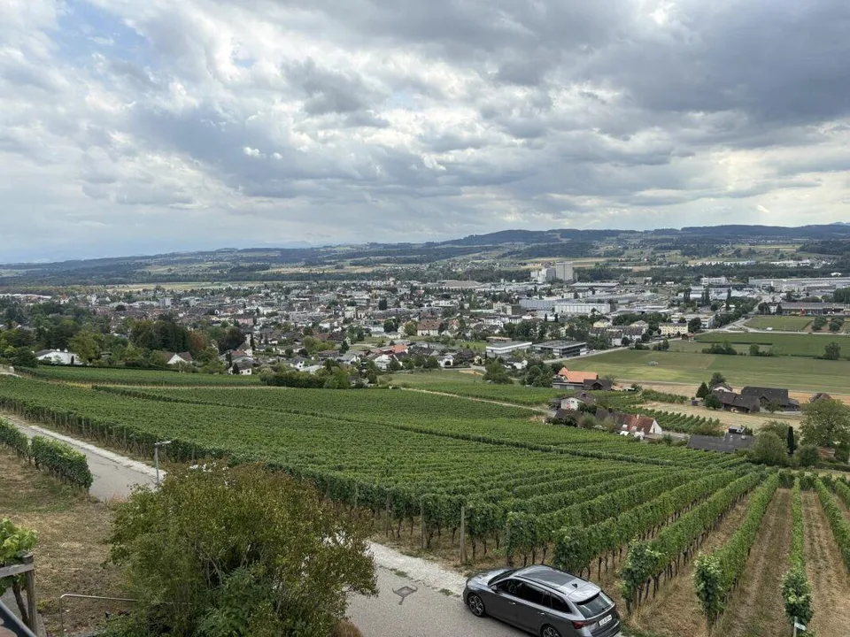 Wohnen mit Weitblick - charmante 2-Zimmer-Wohnung am Ottoberg