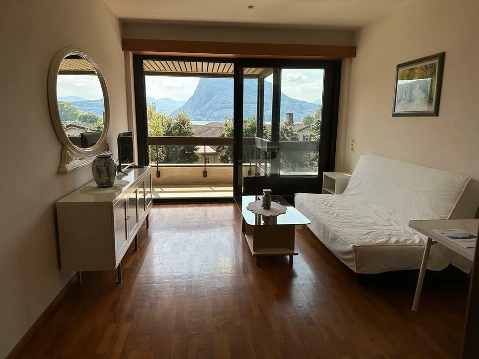 CASSARATE-CASTAGNOLA Appartamento 2.5 locali ammobiliato vista lago