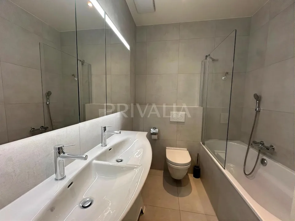 Magnifique appartement traversant dans le quartier de Florissant - ...