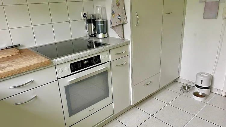 FÜR KATZENLIEBHABER IN RÜSCHLIKON (ZH), MÖBLIERT, TEMPORÄR