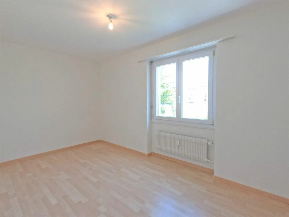 Reinkommen, anschauen, verlieben: