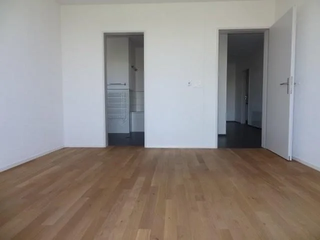 Modern 4.5-room attic apartment in Münsingen